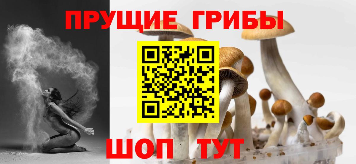 Галлюциногенные грибы прущие грибы Ачхой-Мартан