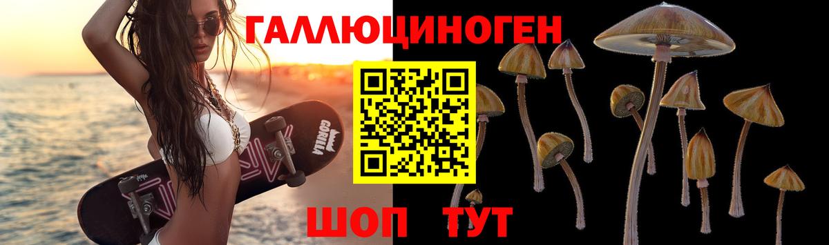 Псилоцибиновые грибы Psilocybine cubensis  Псилоцибиновые грибы MAGIC MUSHROOMS  Ачхой-Мартан  продажа наркотиков  Вход с VPN 