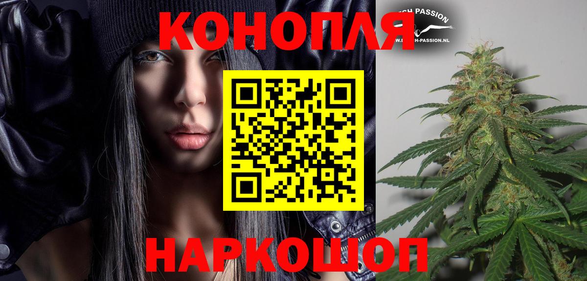 Бошки марихуана Amnesia  Вход с VPN  Ачхой-Мартан  Каннабис AK-47 